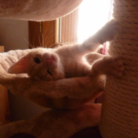 Photo #246165 de Grunch