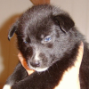 Moi tout petit !