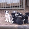 La bande, moi tout a gauche !