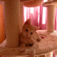 Photo #246322 de Grunch