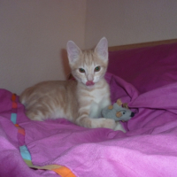 Photo #246323 de Grunch