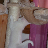 Photo #246325 de Grunch