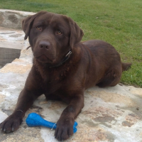 Photo #246343 de Elyot