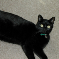 Photo #246393 de Kendra