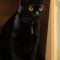 Photo #246394 de Kendra