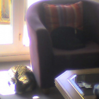 Photo #246395 de Kendra