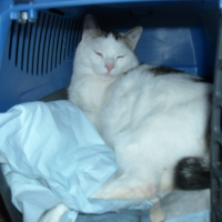Photo #246396 de Eddy ou edouar