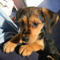 Photo #246456 de Eole