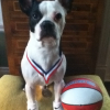 Spyky le pro du basketball