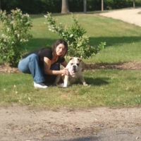 Photo #246547 de Fairfax homer