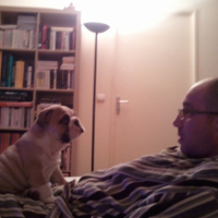 Photo #246551 de Fairfax homer