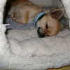Fatigué!