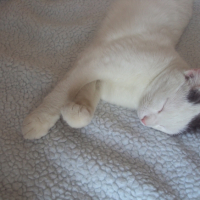 Photo #246663 de Feurby