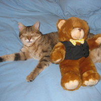 Photo #246716 de Minette
