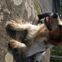Photo #246918 de Ulysse