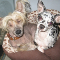 Photo #246993 de Kimiko