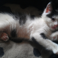 Photo #247012 de Finley
