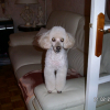 PICT0079