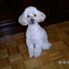 PICT0083