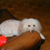 Image010