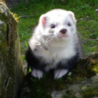 Photo #247153 de Rio