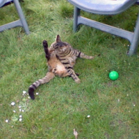 Photo #247183 de Fatal