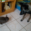 ERIKA AVEC GIPSY