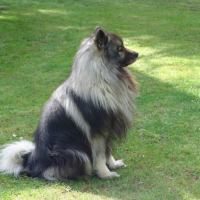 Beau ..même de profil
