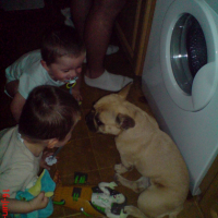 Photo #247319 de Cidonie dite cintra