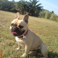 Photo #247320 de Cidonie dite cintra