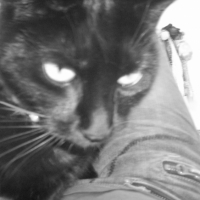 Photo #247342 de Isis