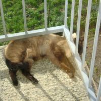 Photo #247399 de Yuki