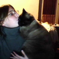 Photo #247400 de Yuki