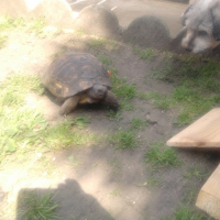 Photo #247411 de Maurice