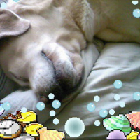 Photo #247416 de Tess