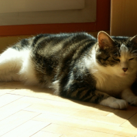 Photo #247529 de Crapule