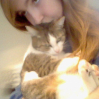 Photo #247571 de Mirabelle