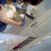 Photo #247572 de Mirabelle