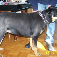 Photo #247608 de Brandy