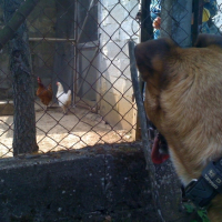 Photo #247634 de Keira