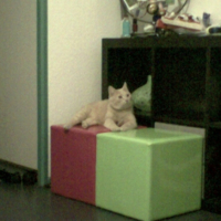 Photo #247707 de Bob