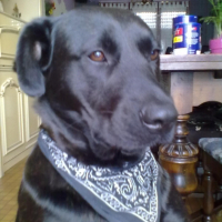 Photo #247751 de Malya