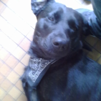 Photo #247752 de Malya