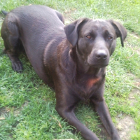 Photo #247754 de Malya