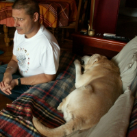 Photo #247770 de Ramses