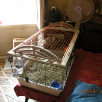 Photo #247775 de Panpan