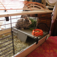Photo #247777 de Panpan