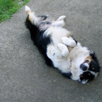 Photo #247799 de Filou