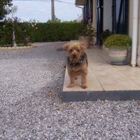Photo #247810 de Tony