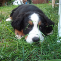 Photo #247870 de Shadoow